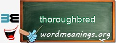 WordMeaning blackboard for thoroughbred